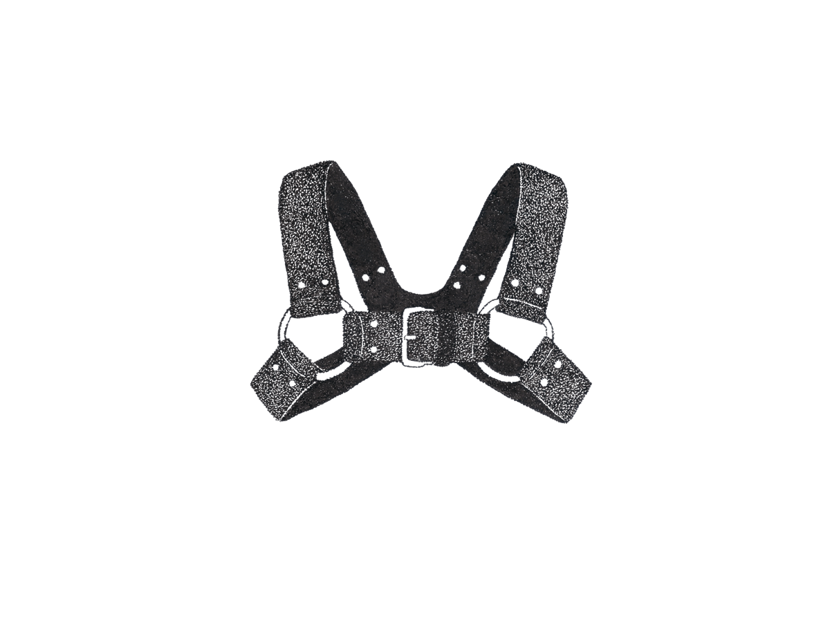 Leather Harness